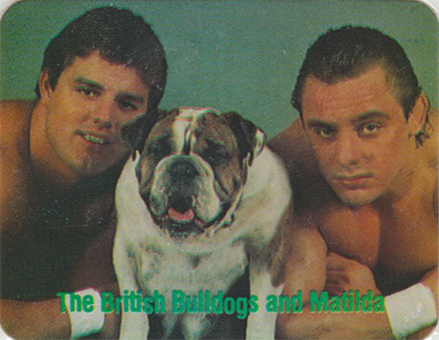 1988 WWF Tag Teams of the Year (Jay’s Potato Chips/Borden)