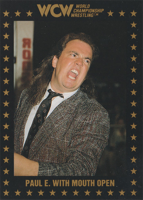 1991 WCW Collectible Trading Cards 1st Series (Championship Marketing) Sample