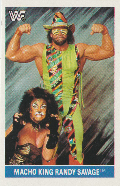 1991 WWF SuperStars Stickers (Euroflash Figurine)