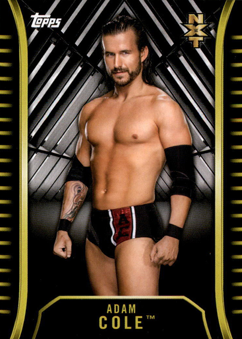 2018 WWE NXT Wrestling (Topps)