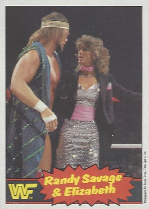 1985 WWF Pro Wrestling Stars Series 2 (O-Pee-Chee Co) Sample