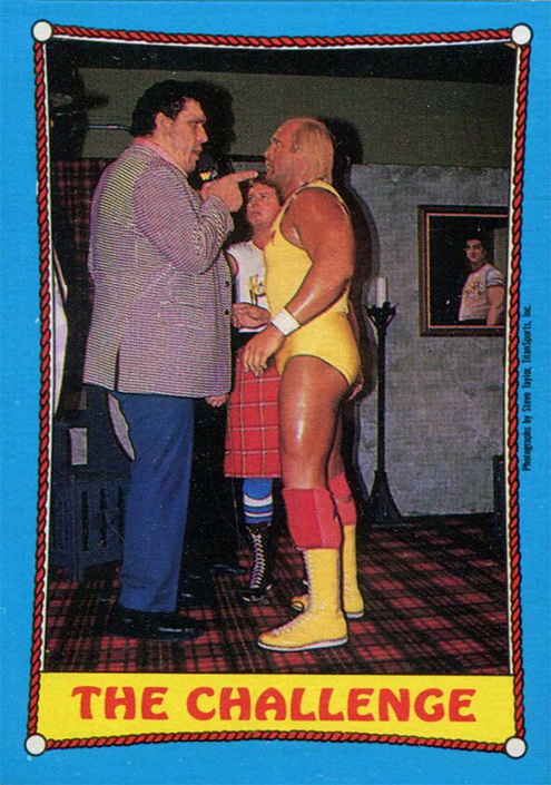 1987 WWF Wrestling Cards (O-Pee-Chee Co.) Sample
