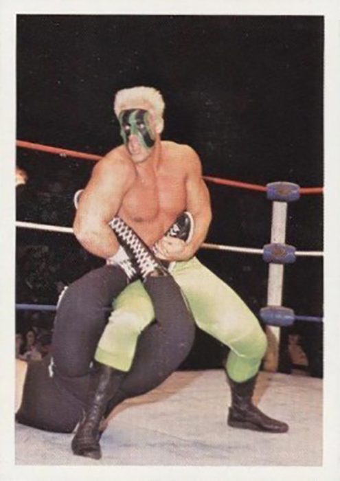 1988 NWA Wrestling Supercards (Wonderama International) Sample