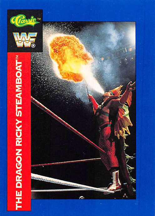 1991 WWF Superstar Cards - European Edition (Classic Games, Inc.) Sample