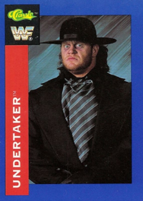 1991 WWF Superstars Cards (Classic Games Inc) Sample
