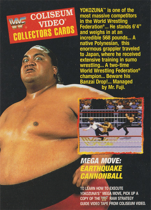 1994 WWF Coliseum Video/Akklaim Collector Cards Strategy Tips (Coliseum Video)