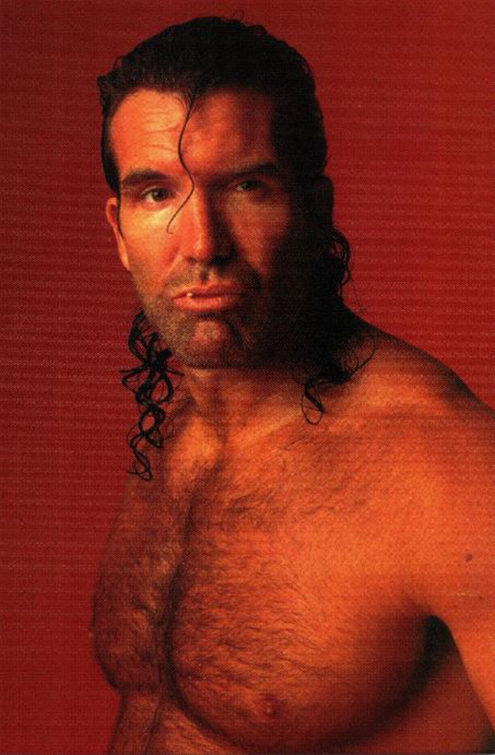 1998 WCW nWo Photocards (Panini) Sample
