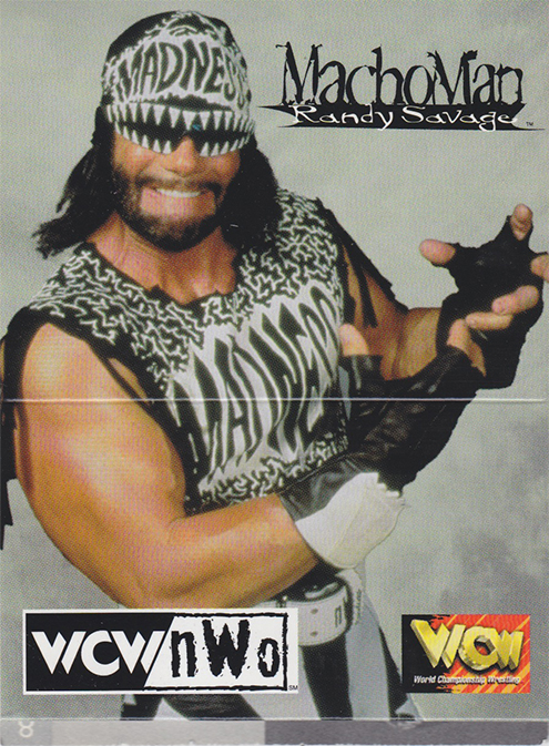 1998 WCW nWo Popup Real Action Cards (Up Front Sports) Sample