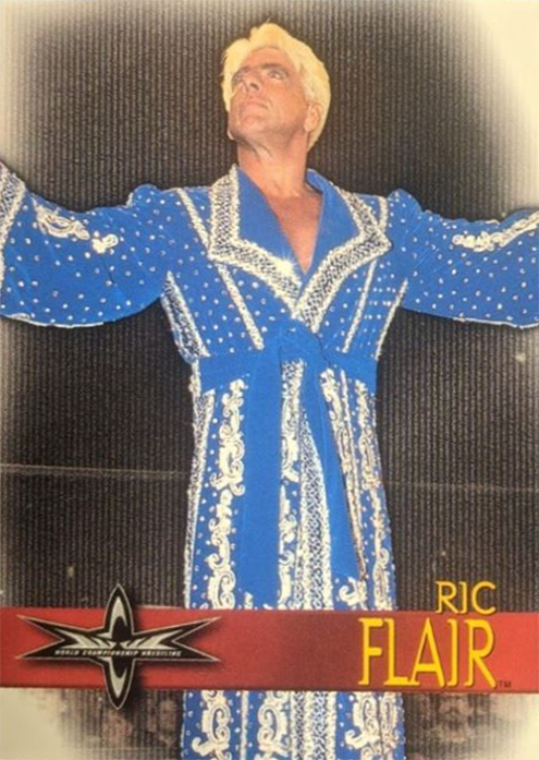 1999 WCW Video (VHS) Bonus Cards (The Topps Company, Inc.) Sample