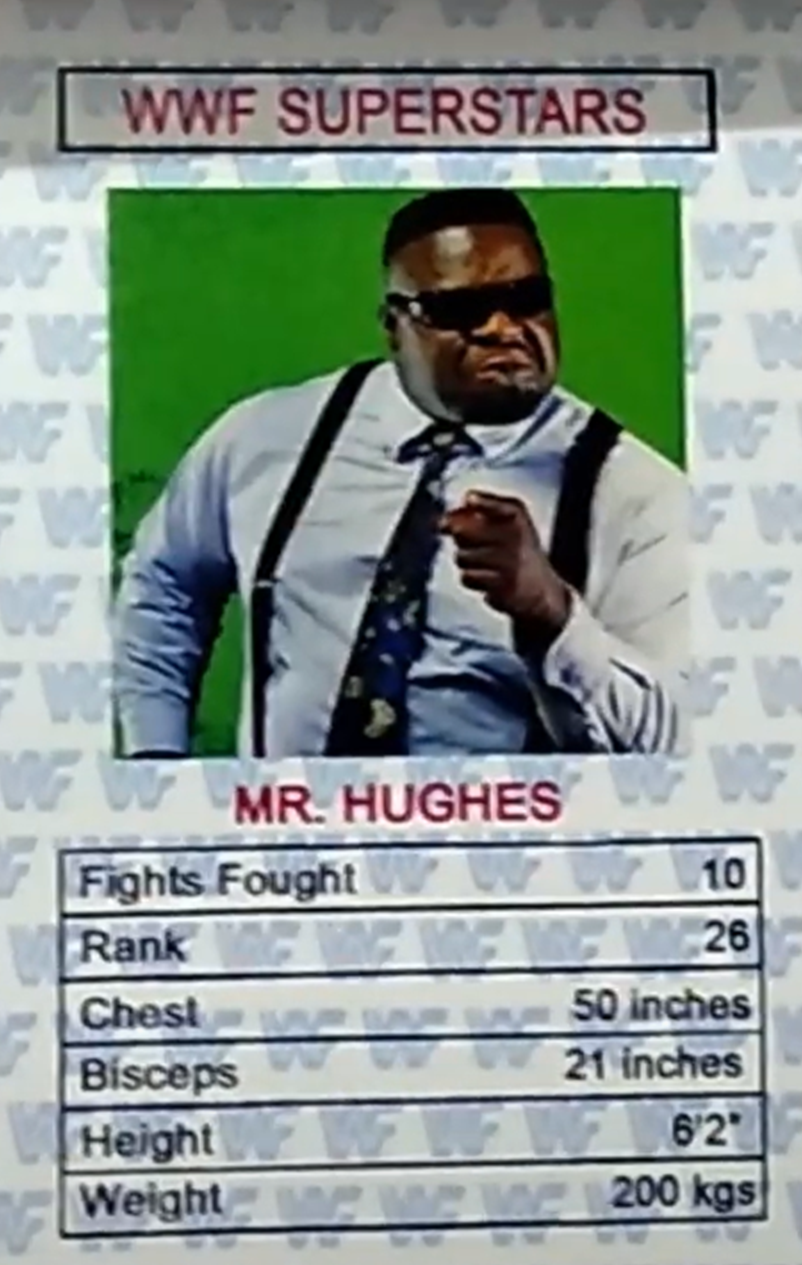 1994 WWF Universal Trump Cards (India) Mr Hughes