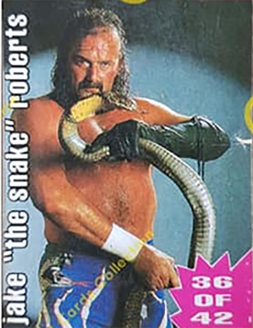 1997 WWF Marbels Freebie Cards (India)