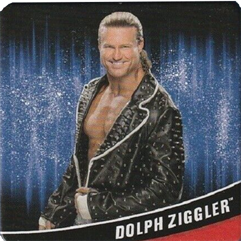 2020 WWE Wonder Forge Matching Game Cards Dolph Ziggler