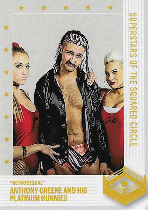 2019 Superstars of the Squared Circle Series One 12