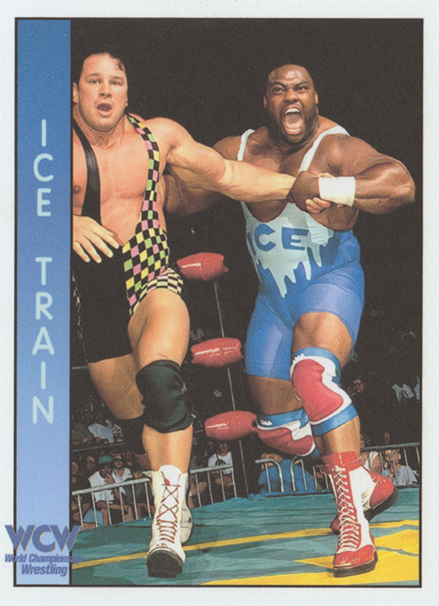 2022 WCW Ocean Series Trading Card Set (GreyBLUR) 2