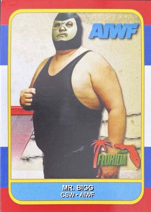 2020 CSW Culture Shock Wrestling Trading Cards