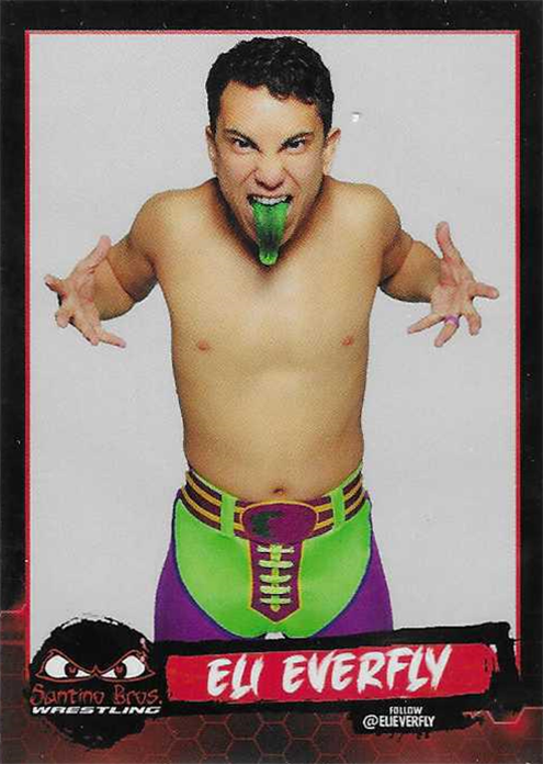 2023 Santino Brothers Wrestling Collector Card Set Sample