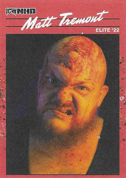 2023 ICW NHB Series 3 Trading Cards Sample